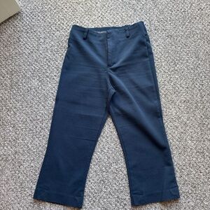 Zara capri pants